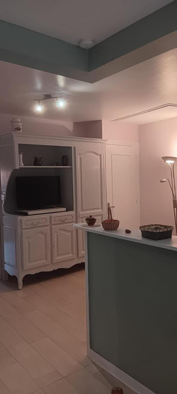 Appartement 120 M² Duplex Coeur Historique Au Calme Le Puy-en-Velay Eksteriør bilde